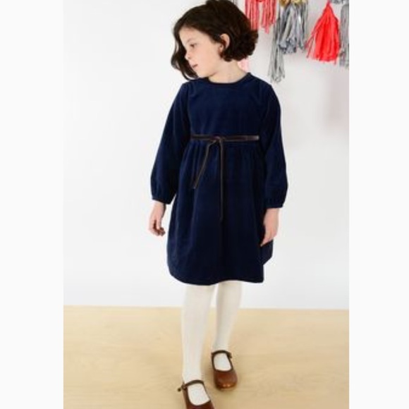 Olive Juice Other - OLIVE JUICE VELVET DRESS